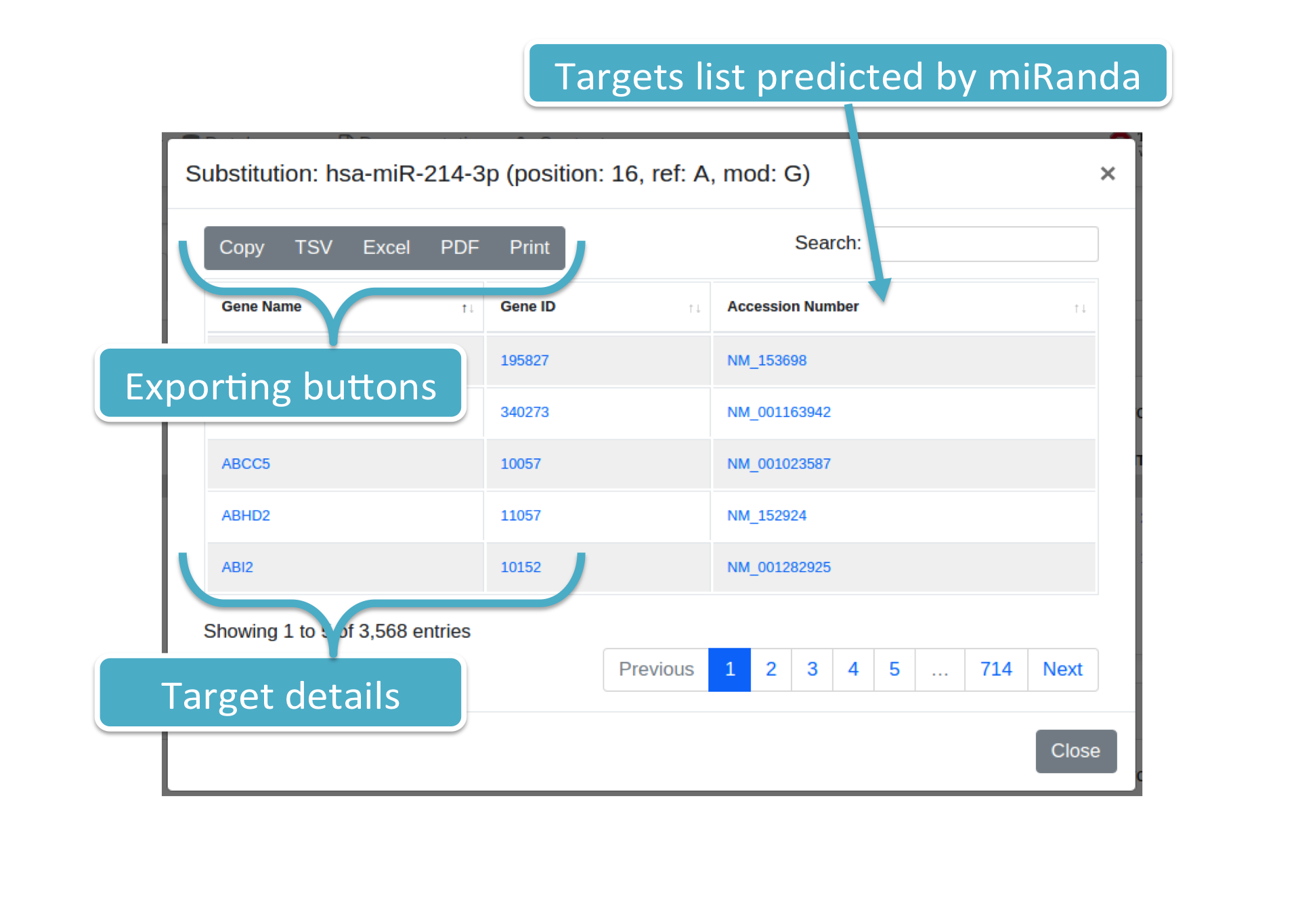 miRanda predicted targets